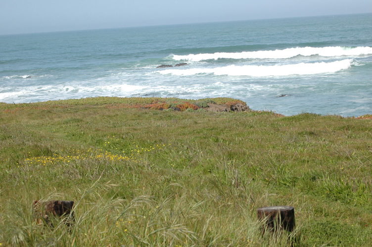 Upper Fiscalini Trail 029.jpg
